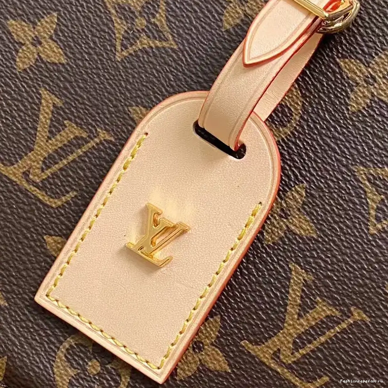Fashionreps Bag 2403HT0006 LV 0710